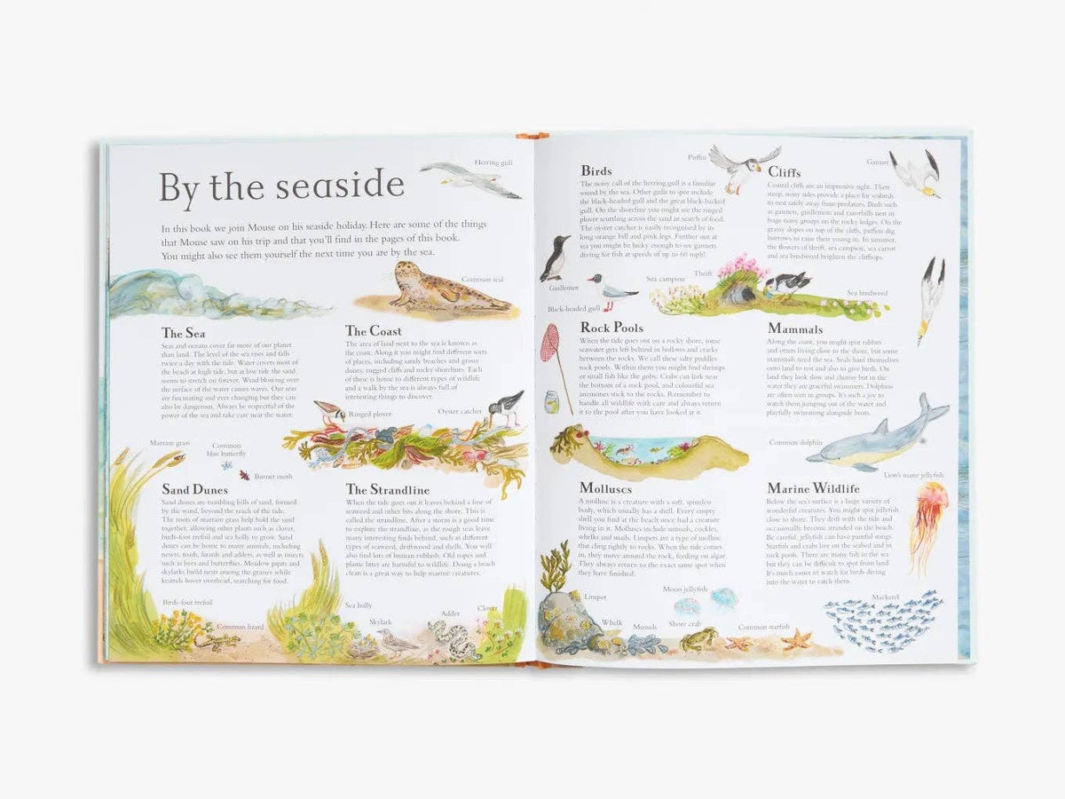 Mouse by the Sea (Mouse’s Adventures)