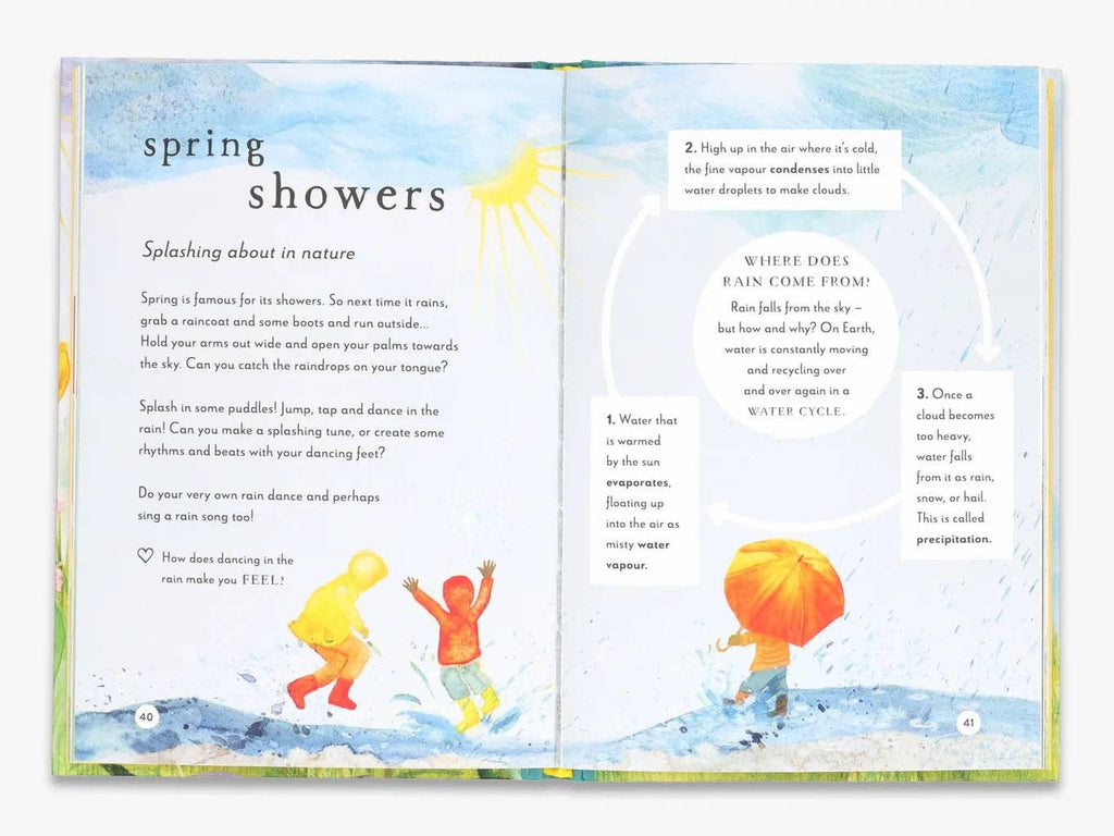 A Field Guide to Spring  (Field Guide series)