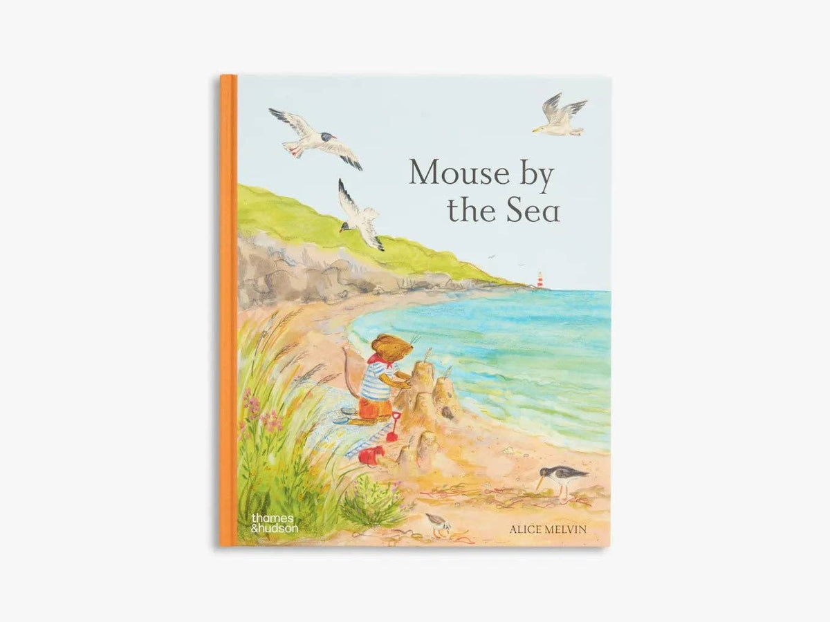 Mouse by the Sea (Mouse’s Adventures)