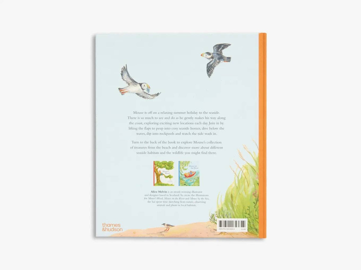 Mouse by the Sea (Mouse’s Adventures)