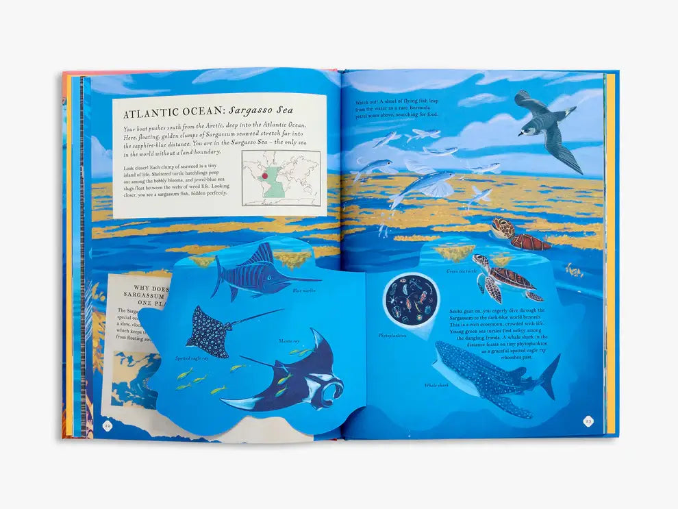 There's An Ocean In This Book