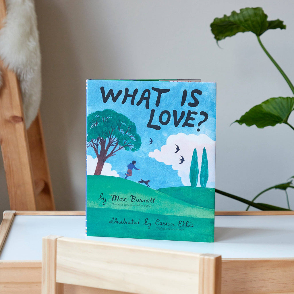 What Is Love? (Hardback)