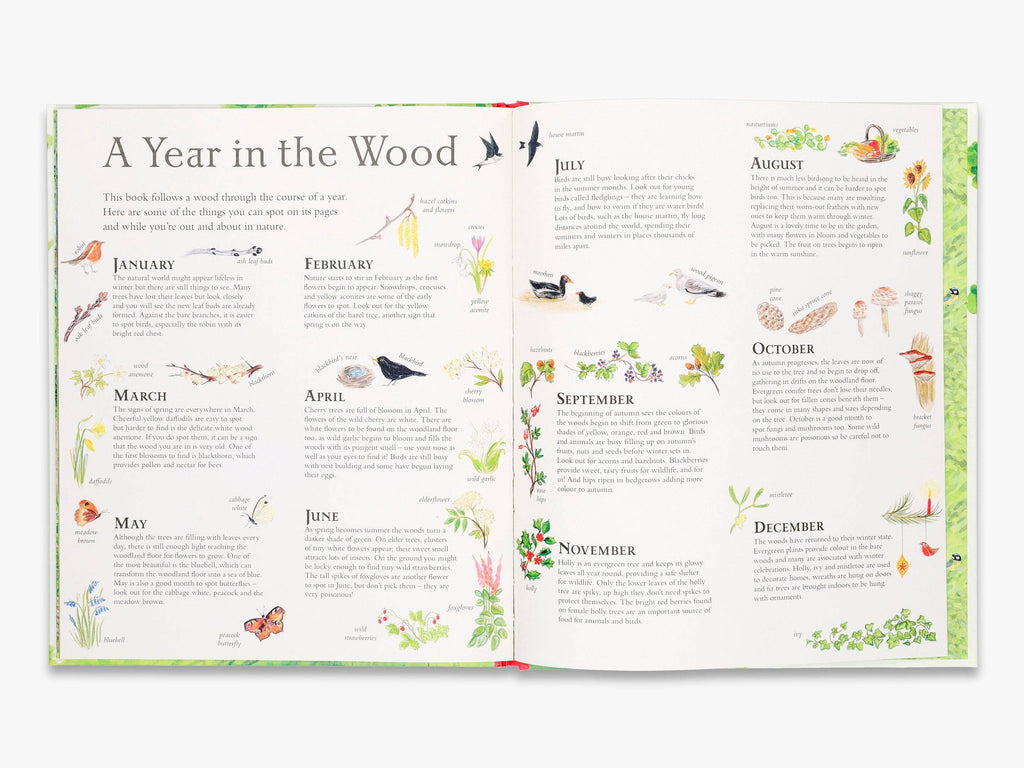 Mouse's Wood (Mouse’s Adventures)