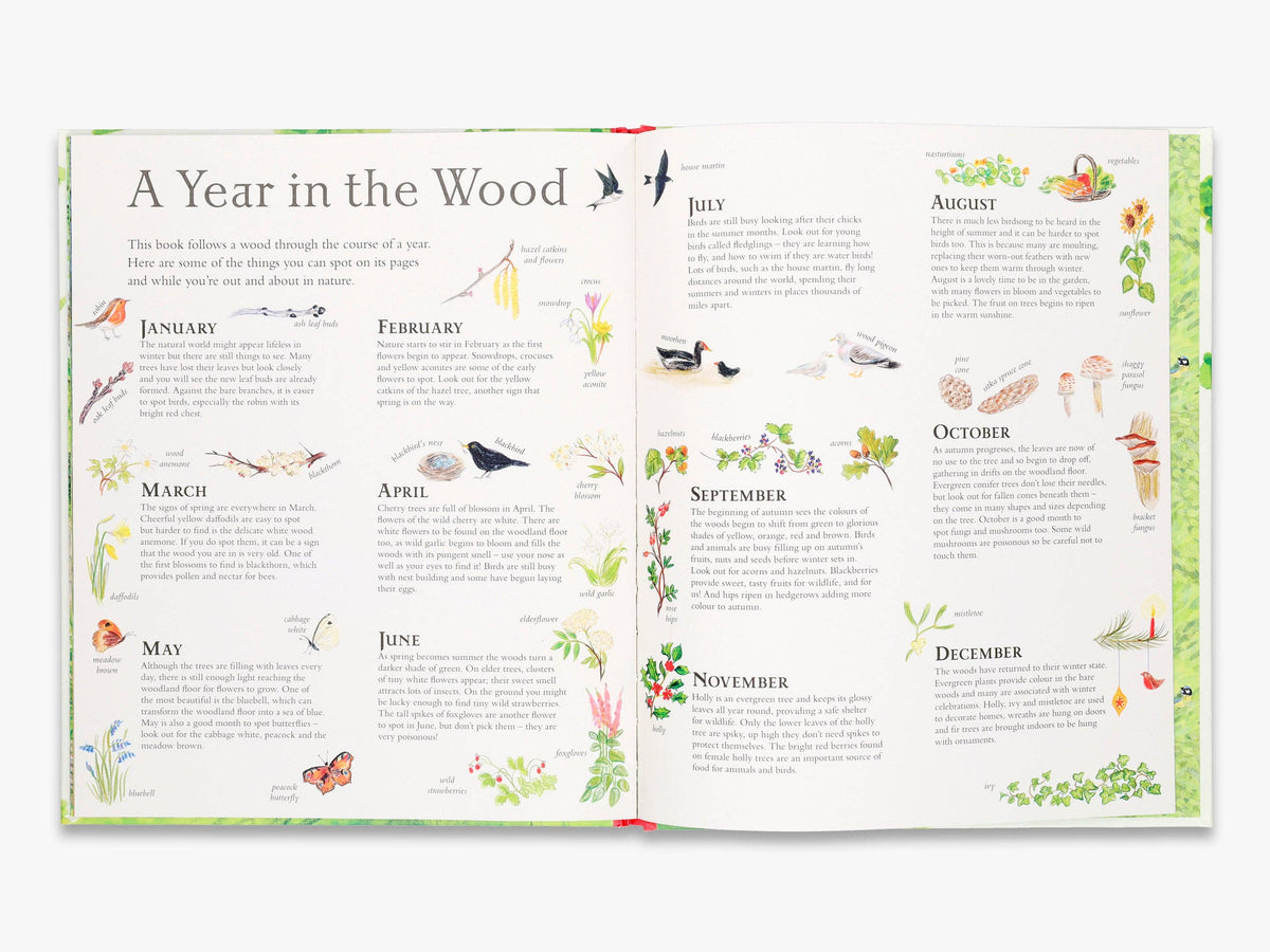 Mouse's Wood (Mouse’s Adventures)