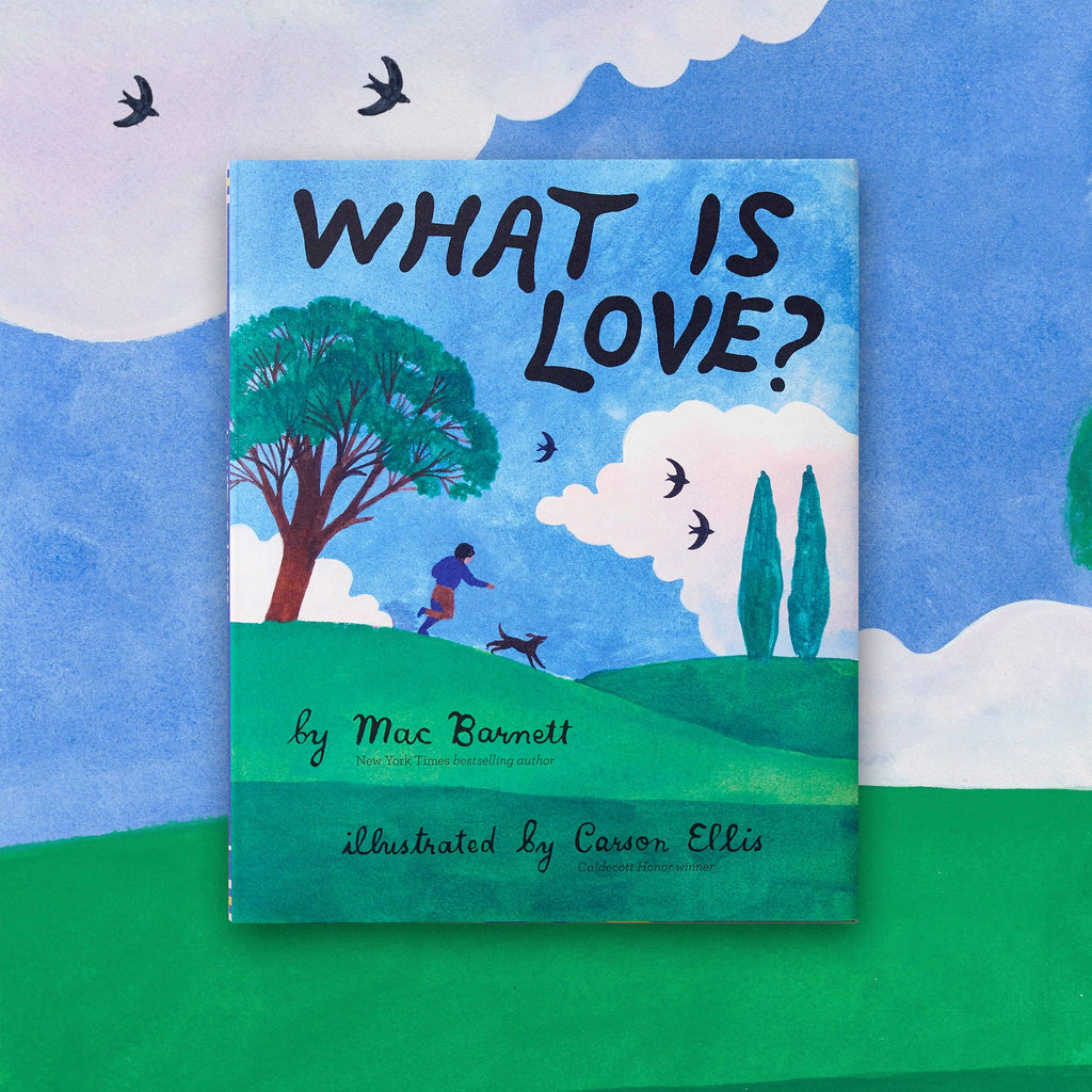 What Is Love? (Hardback)