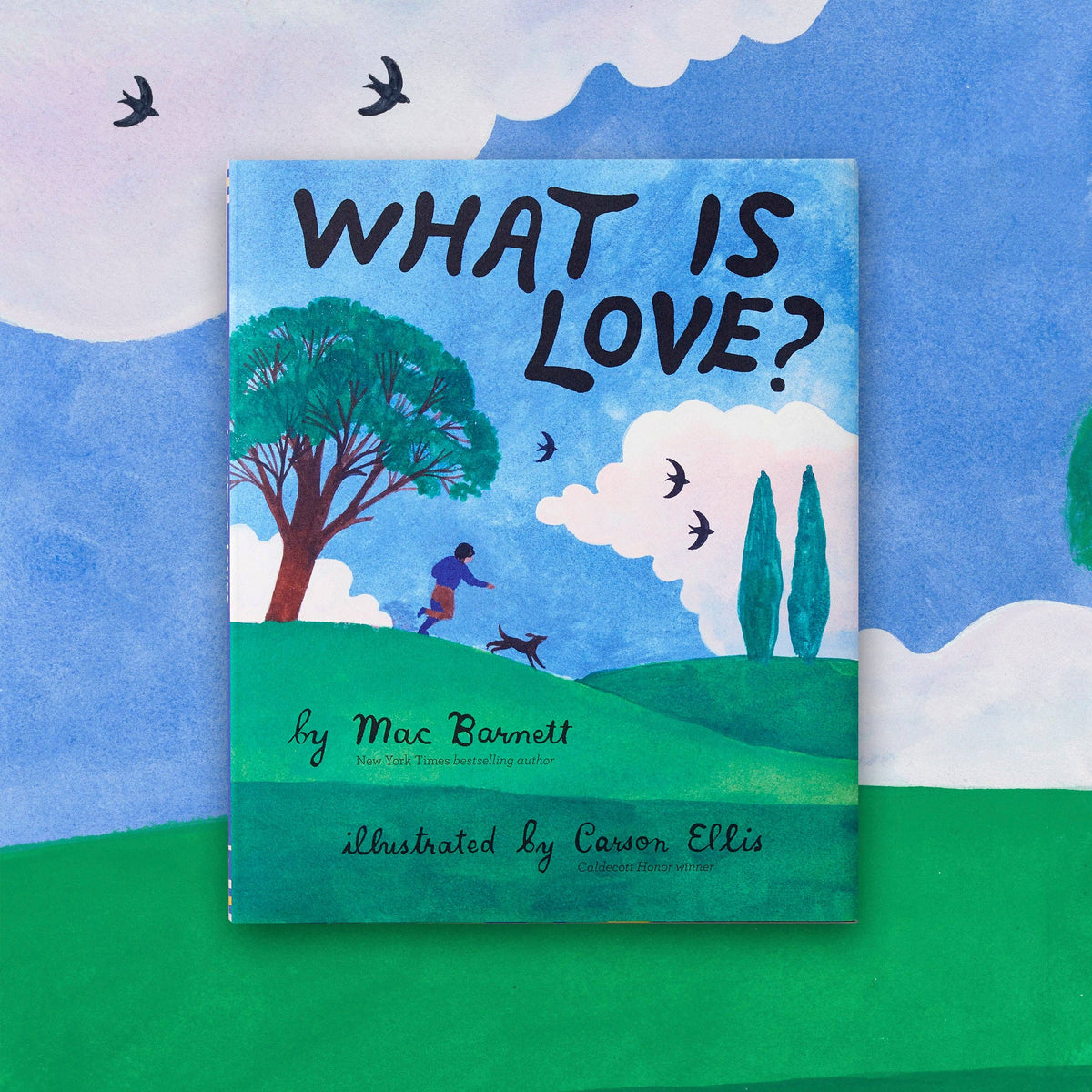 What Is Love? (Hardback)