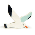 Coastal Animals - Seagull