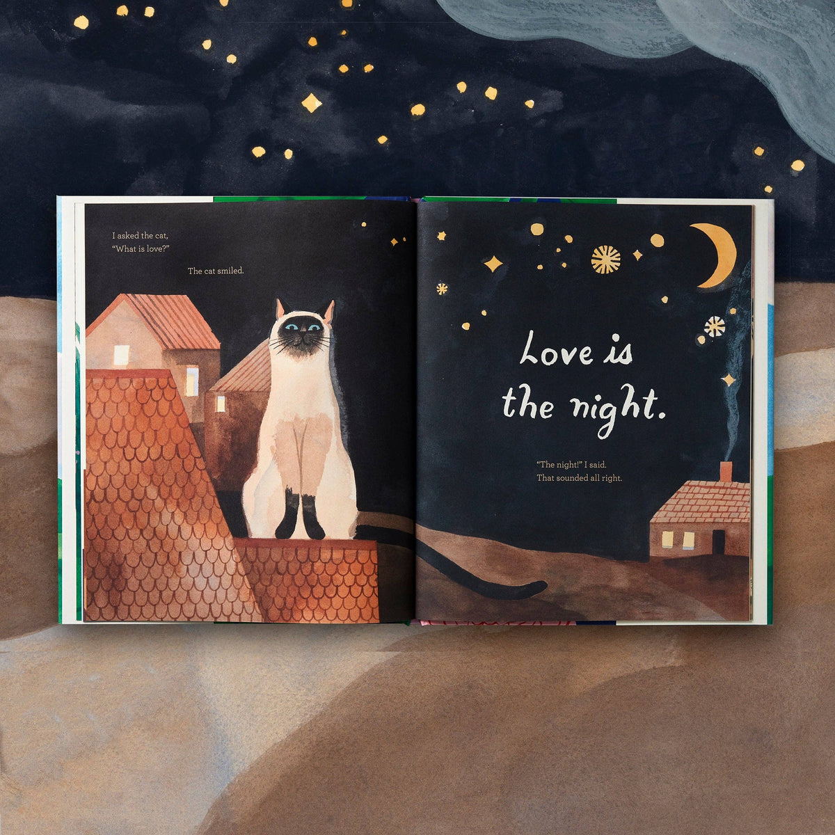 What Is Love? (Hardback)