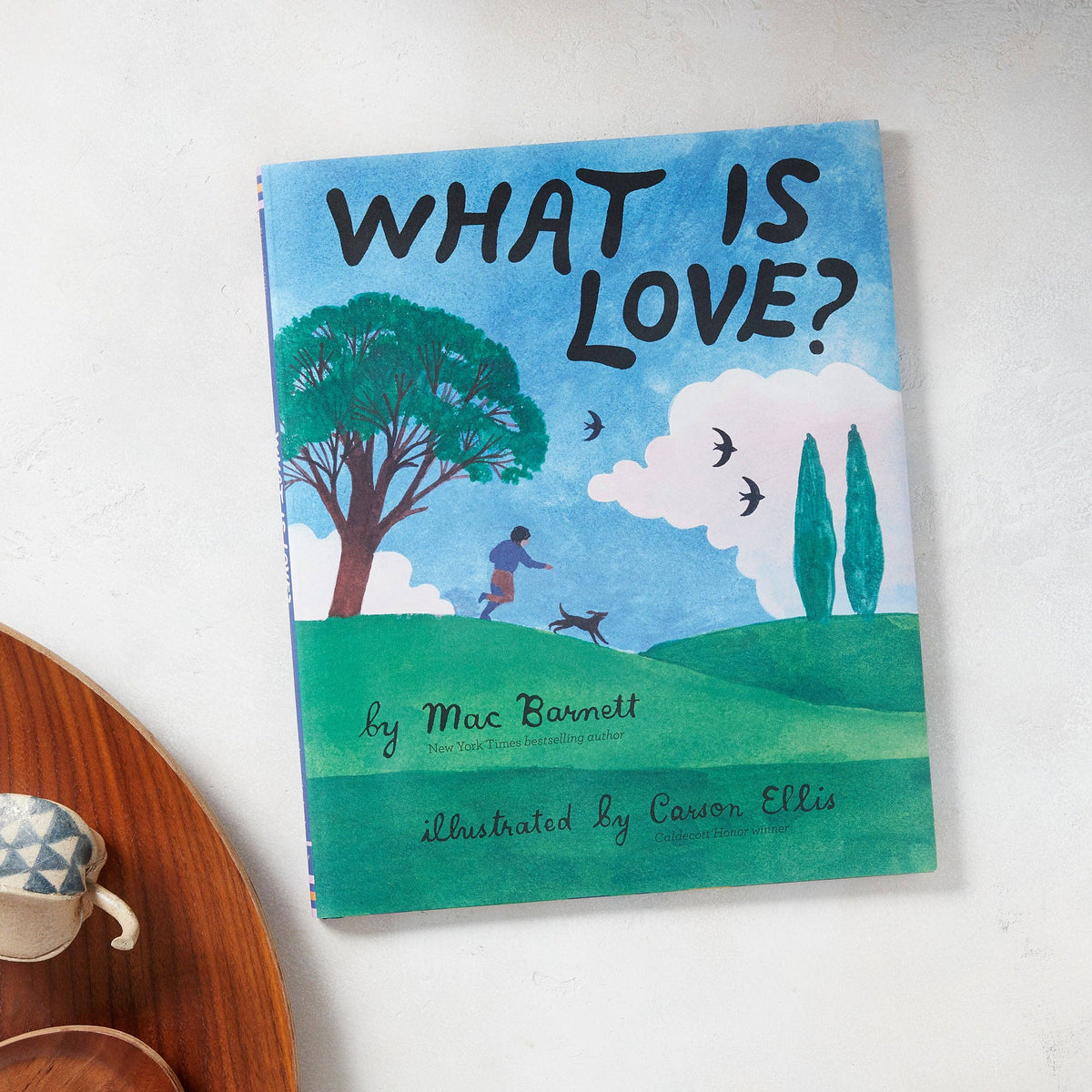 What Is Love? (Hardback)